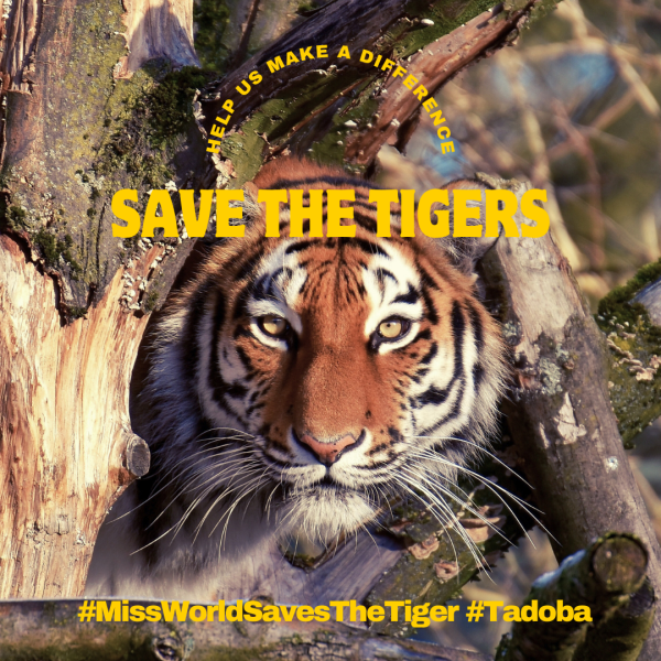 Let's unite as a global community to protect these magnificent creatures. Be their voice, be their guardians. Act now, join us in this noble cause, and together, we'll make a timeless difference