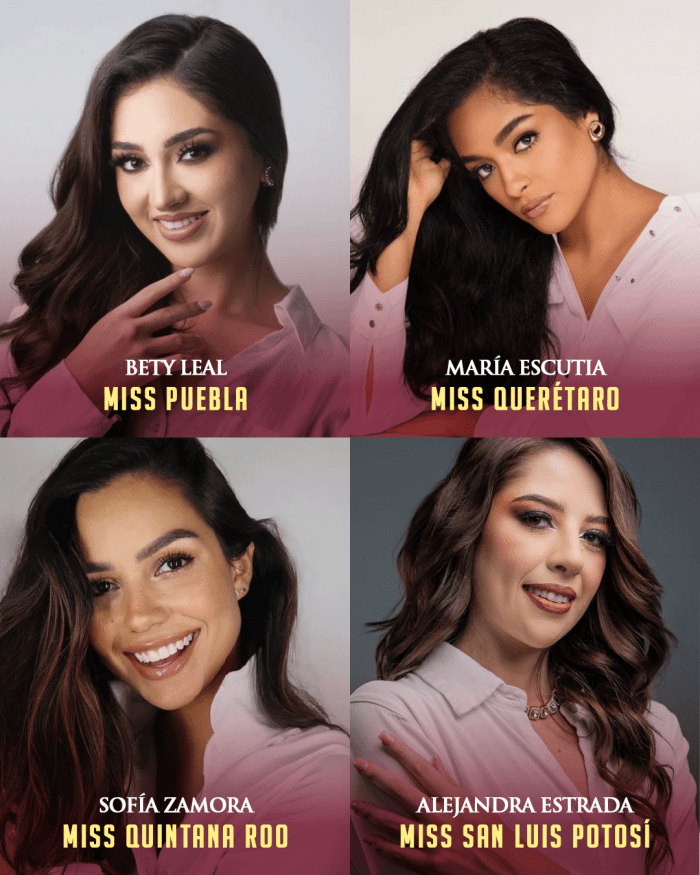 Miss Mexico 2024 will be crowned tonight. Meet the candidates Miss World